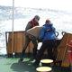 Me and a colleague deploying one of a pair of drifting buoys in the Southern Ocean.